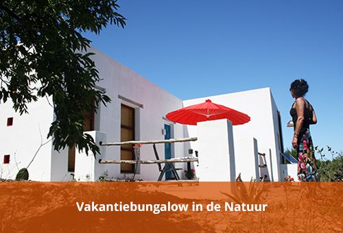 Vakantiebungalow in de natuur La Alcandora