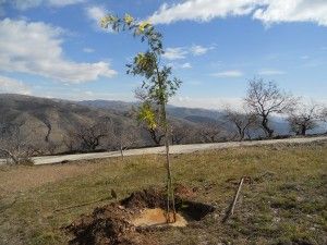Vakantiehuis Andalusië